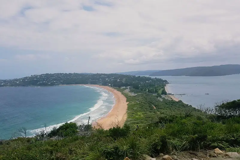 palm-beach-sydney