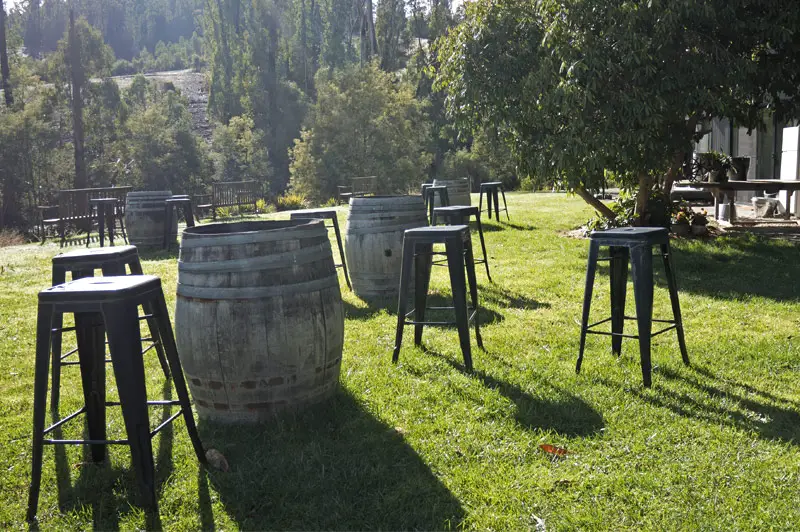 marysville-accommodation-saladin-lodge-garden