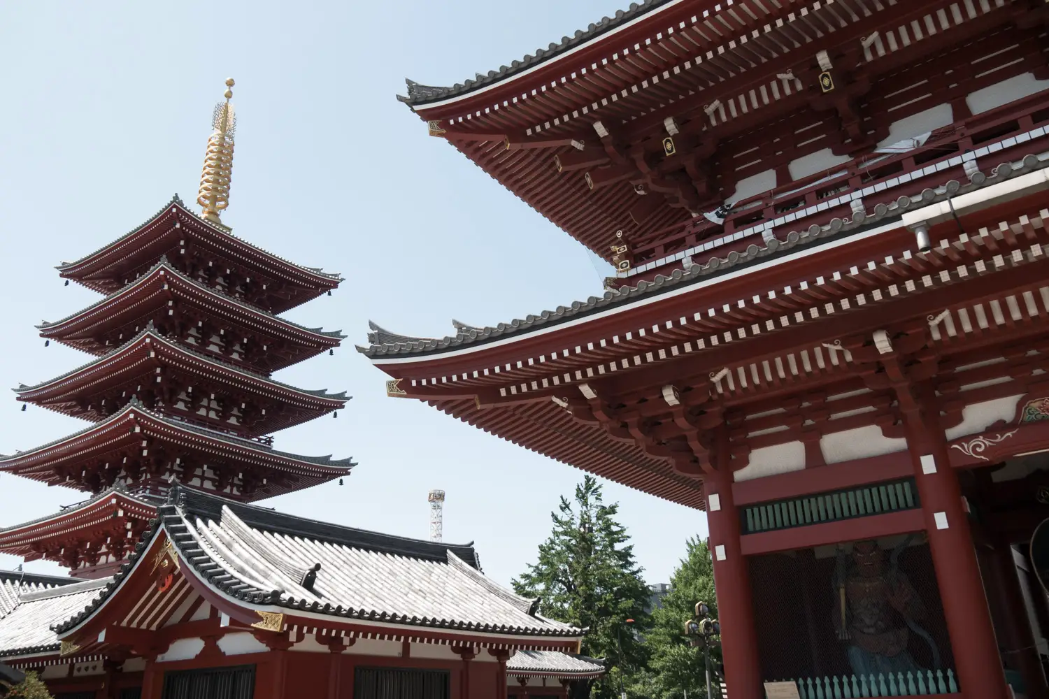 asakusa-temple-tokyo