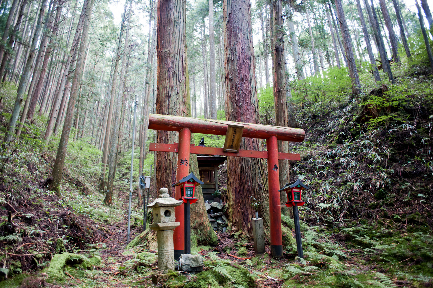 mystical-places-japan-koya