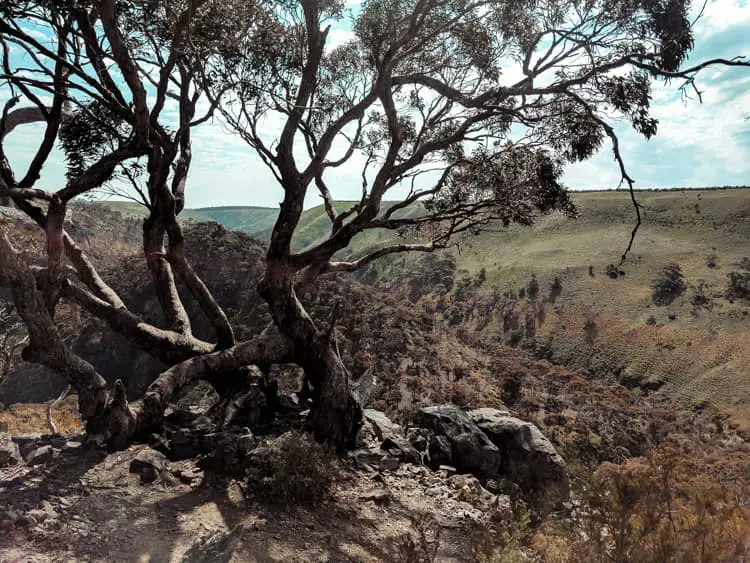 beautiful-places-near-melbourne