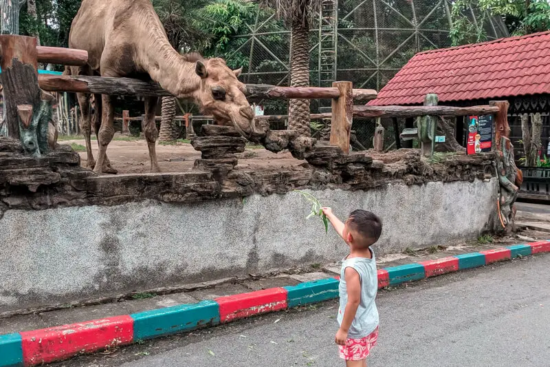 johor-bahru-zoo