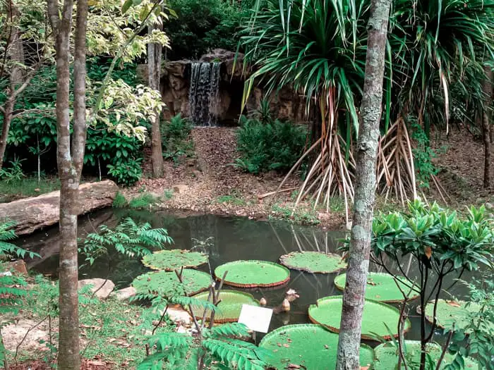 jacob-ballas-childrens-garden-singapore