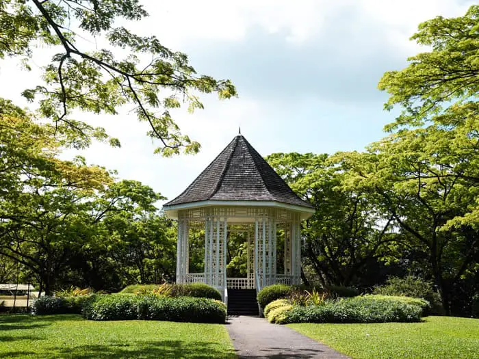 singapore-with-kids-botanic-garden