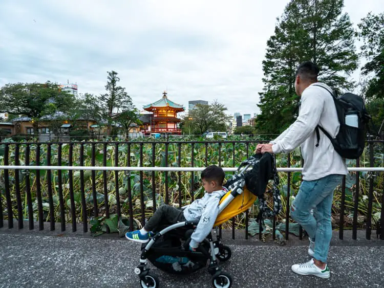 lileo-baby-stroller-japan