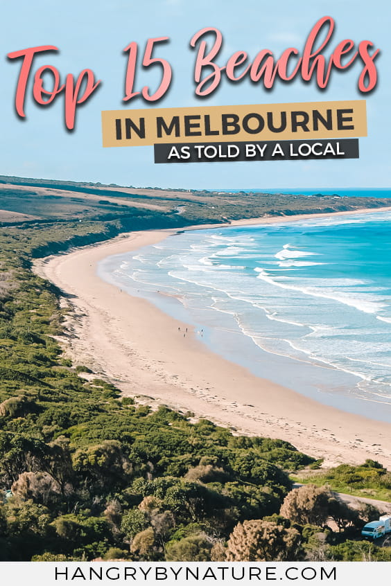 best-beaches-in-melbourne-for-kids
