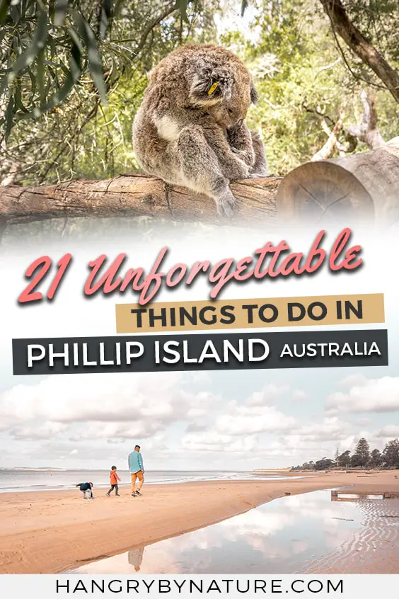 things-to-do-in-phillip-island