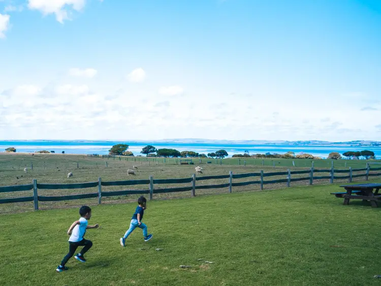 phillip-island-nature-parks-churchill