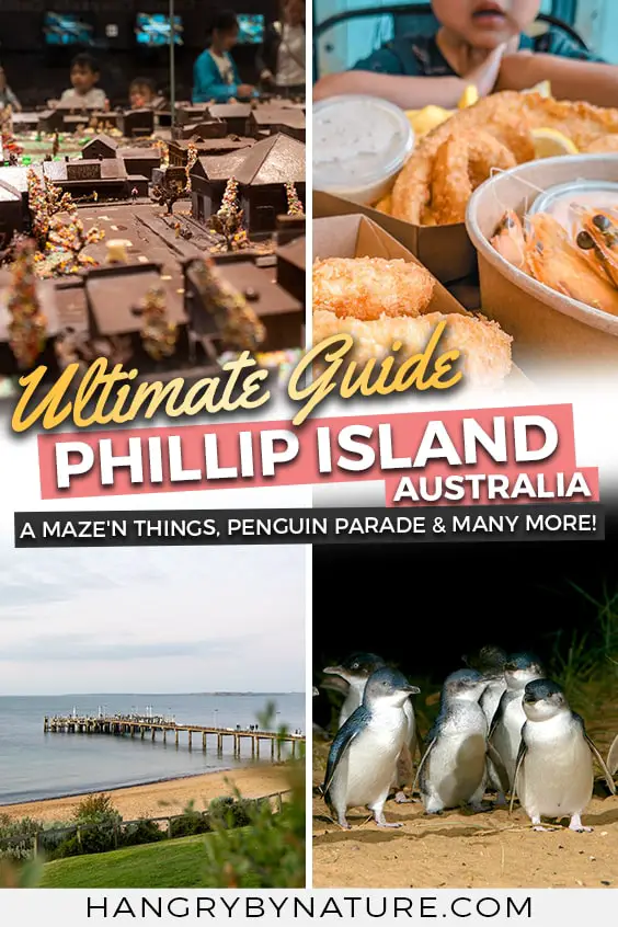 phillip-island-victoria