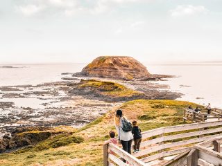 phillip-island-attractions-nature-parks
