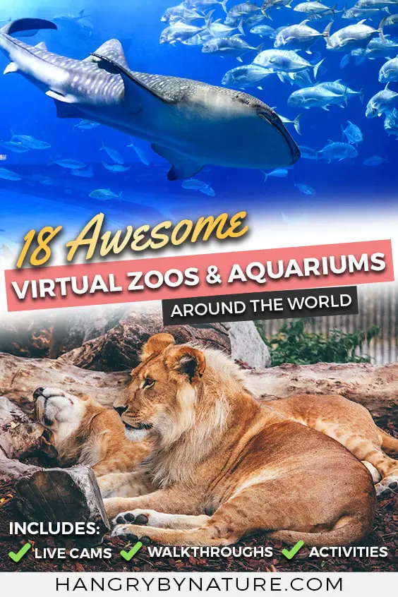 free virtual zoo tours