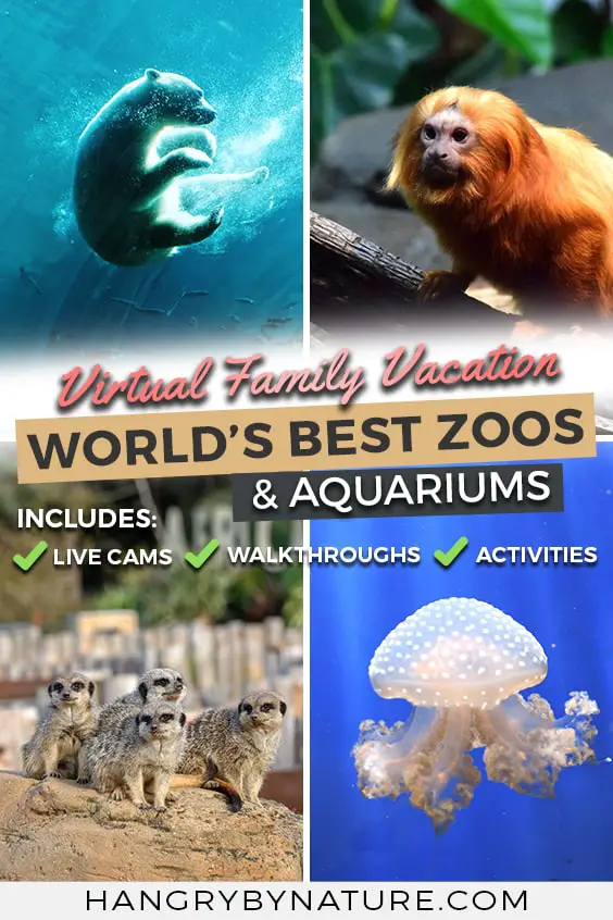 virtual-aquarium-tour-zoo